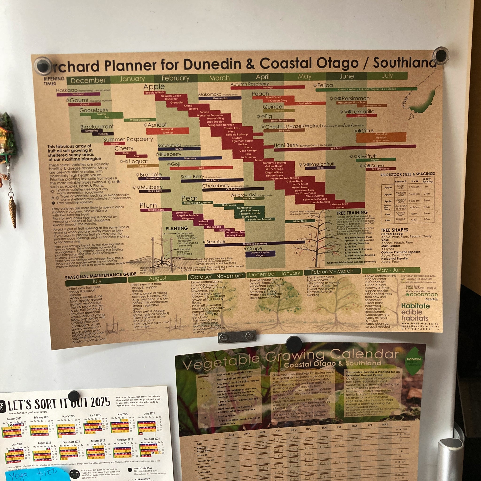 Habitate Orchard Planner for Coastal Otago & Southland | Wall Planner