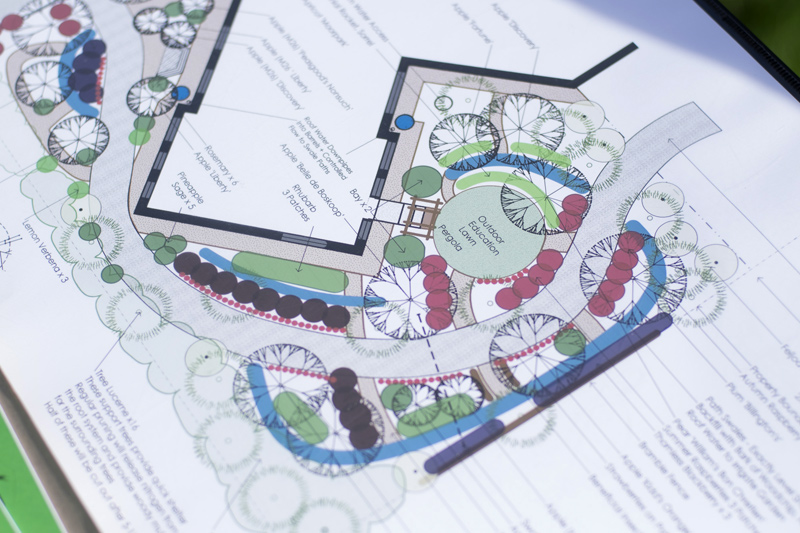 Food Forest Design