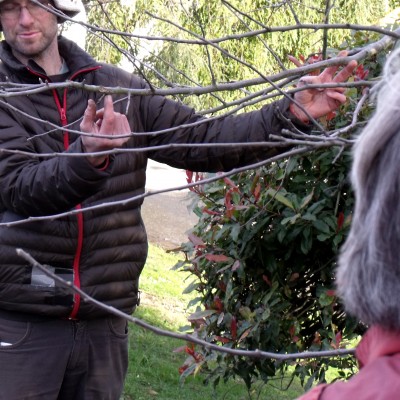 Pruning Workshop Waitati