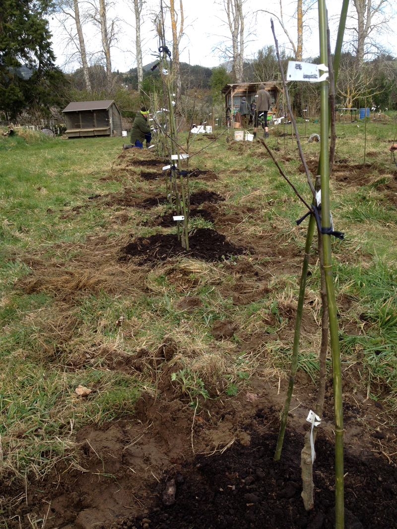 Habitate-Farm-Holistic-Orch