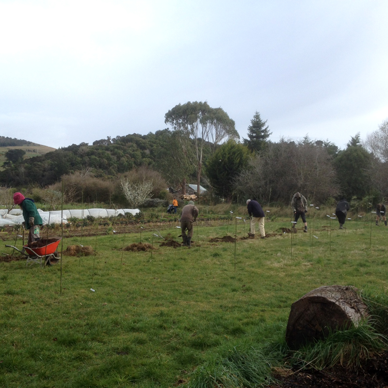 Habitate-Farm-Orchard