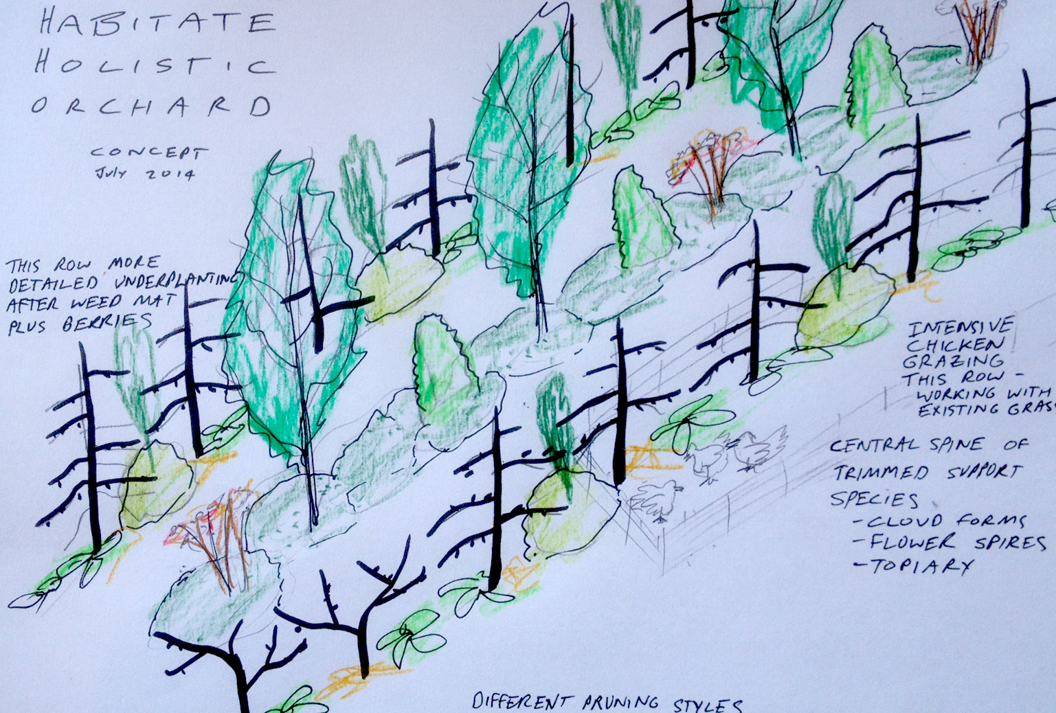 Habitate Holistic Orchard Concept Plan.