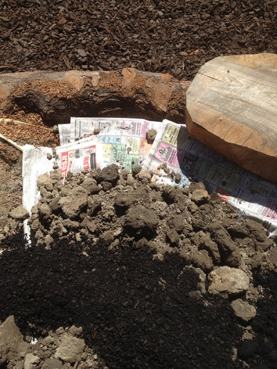 Newspaper weed barrier used under vegetable beds, saving on digging and weed removal