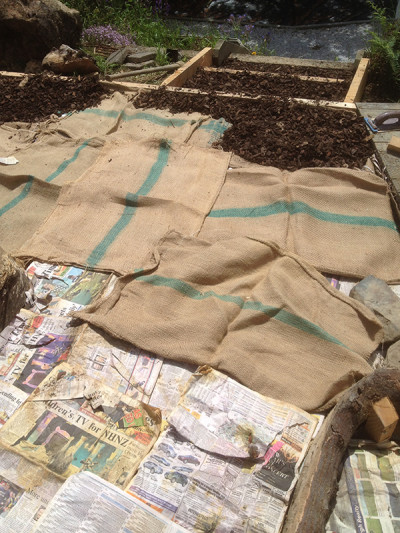 Path mulching - newspaper and sacking under barkchip