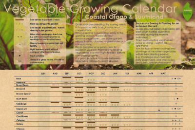 Vegetable Planting Calendar