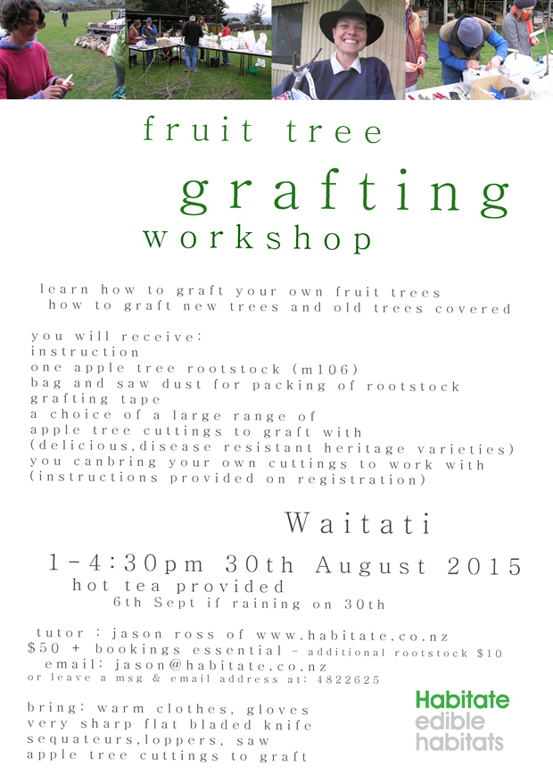 Grafting Workshop 2015