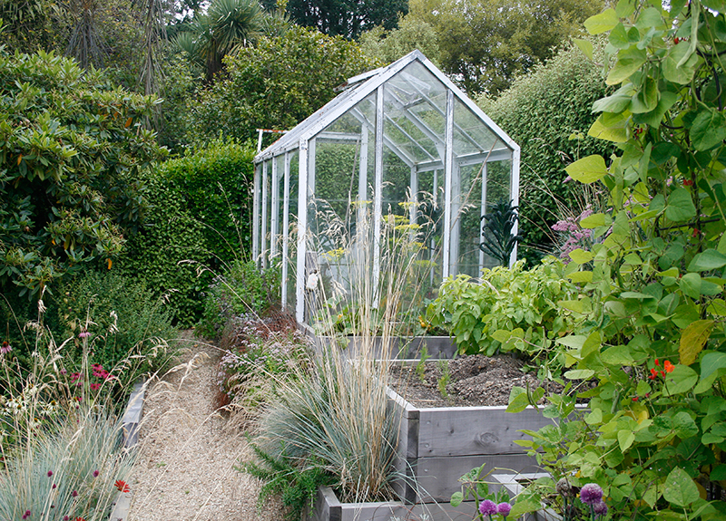 Culinary Herbs & Grasses