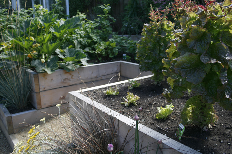 Keyhole Vegetable Beds