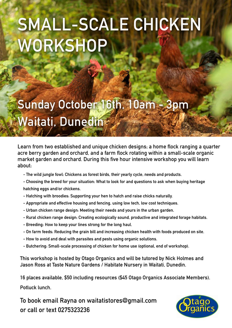 permaculture chicken workshop