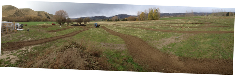 shaping orchard swales