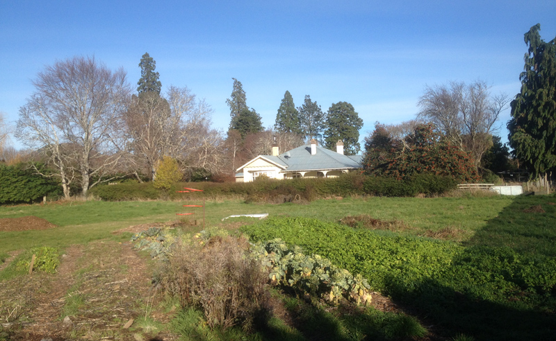 Vegetable Garden Area