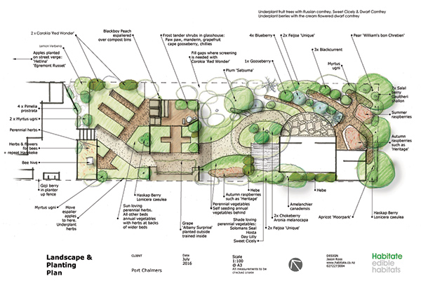 Edible Zen Garden Back Yard