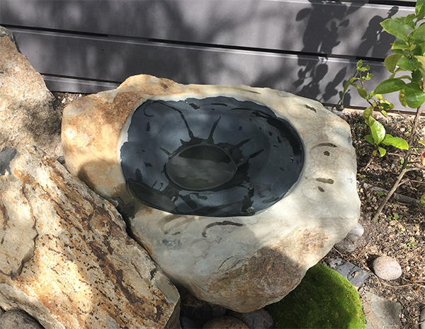Water Bowl by Moira Crossman