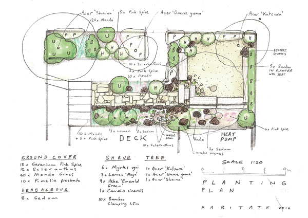 Edible Zen Garden Planting Plan