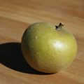 Brownlees Russet Apple