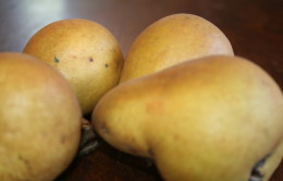 Beurre Hardy Pear