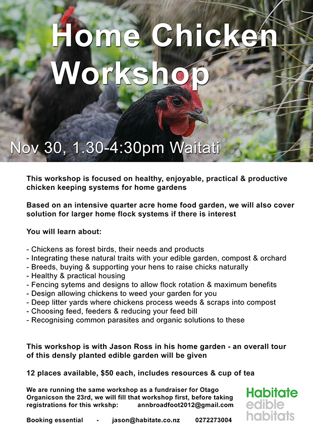 Small-Scale Chicken Workshop Nov 2019. Waitati. Organic & Permaculture Systems