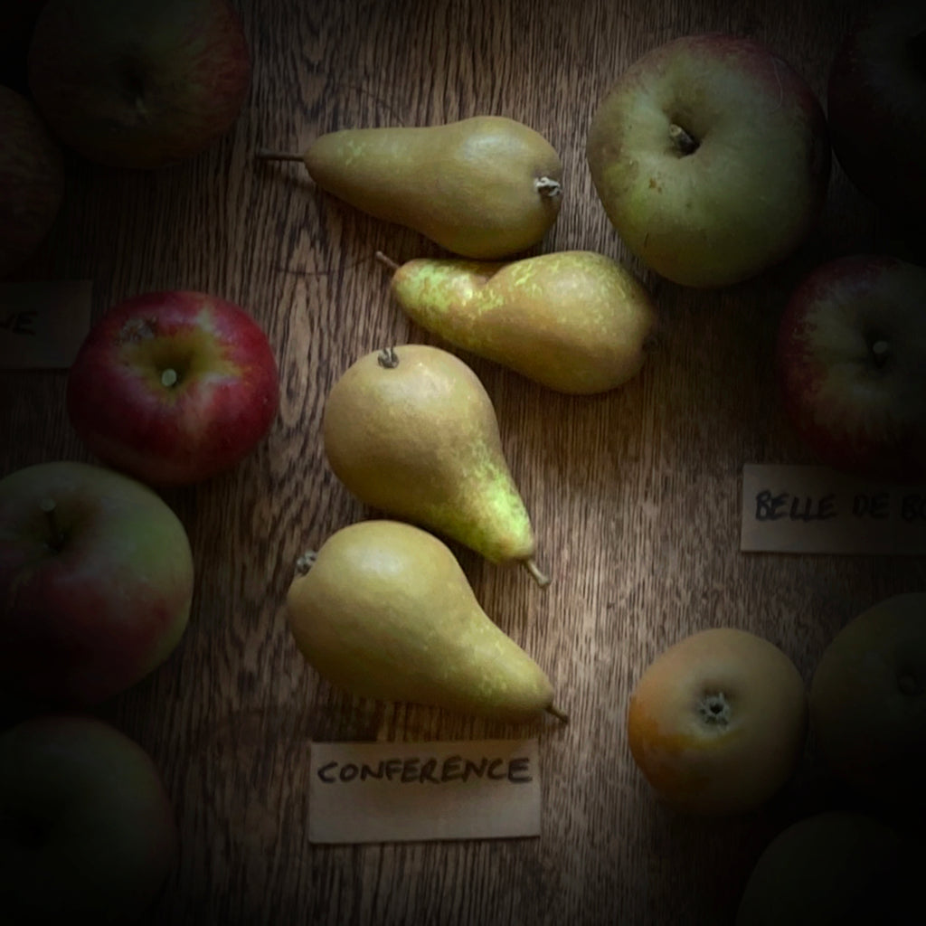 Pear - Conference