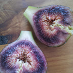 Fig - Hereweka