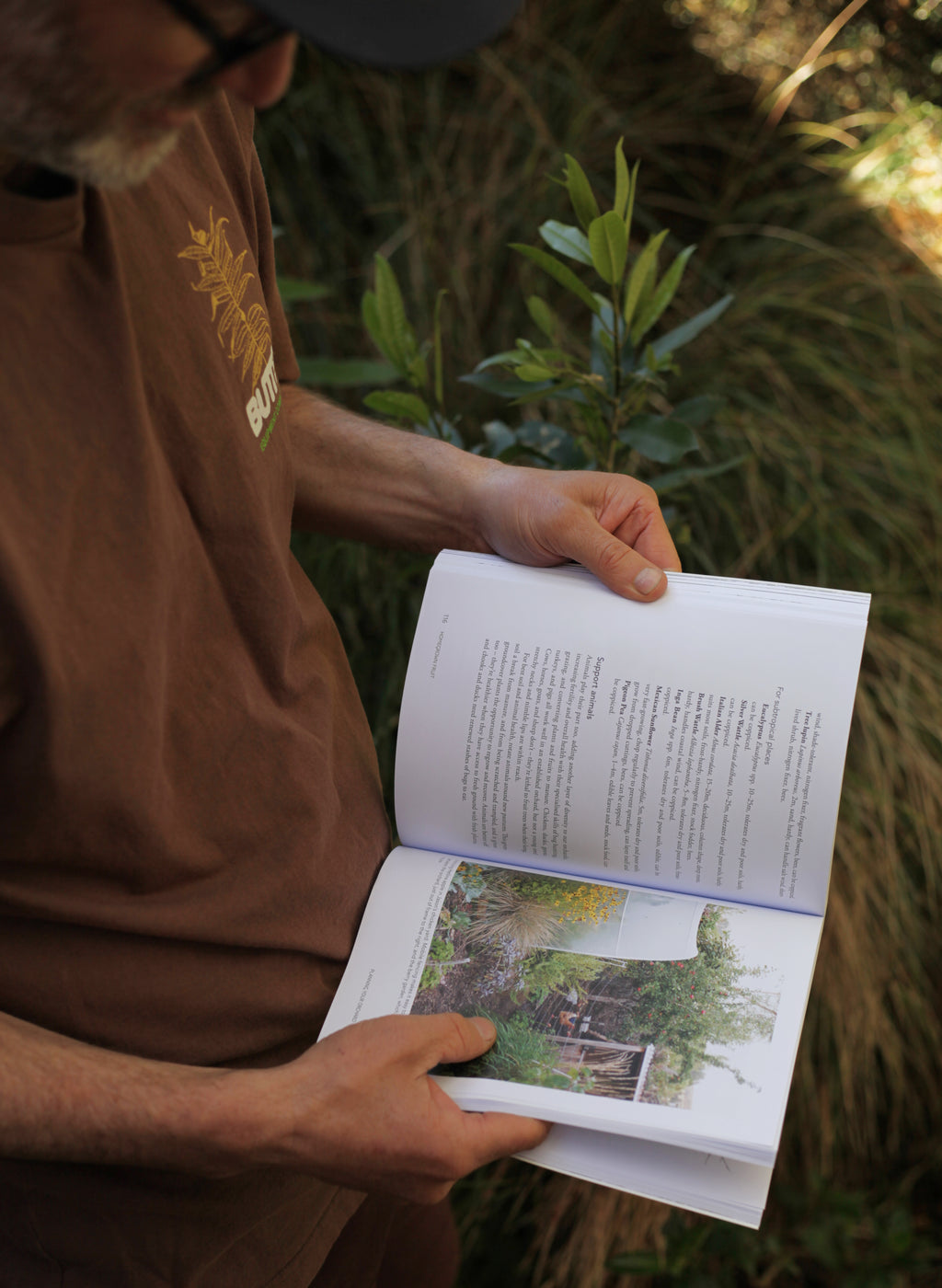 Homegrown Fruit – a practical guide | BOOK