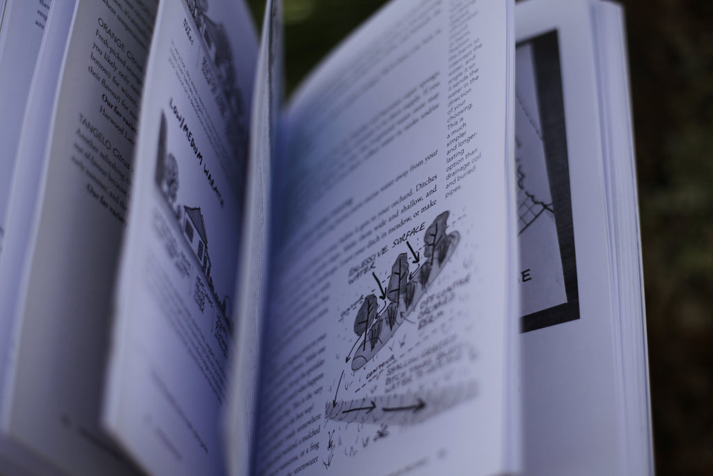 Homegrown Fruit – a practical guide | BOOK