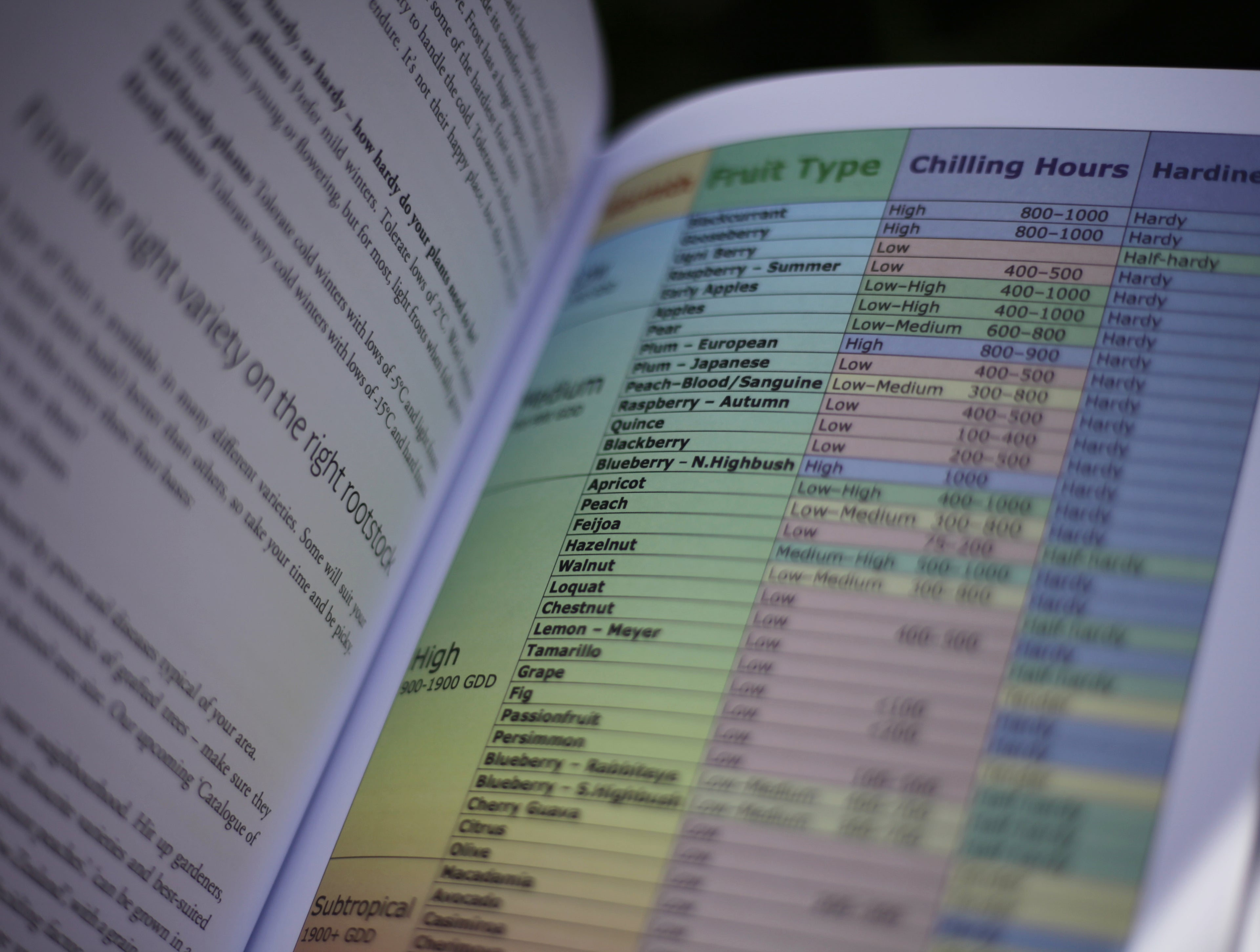 Homegrown Fruit – a practical guide | BOOK