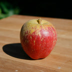 Apple - Kidd's Orange