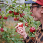 Jason eating an apple in front of a liberty apple tree with gorgeous red apples.