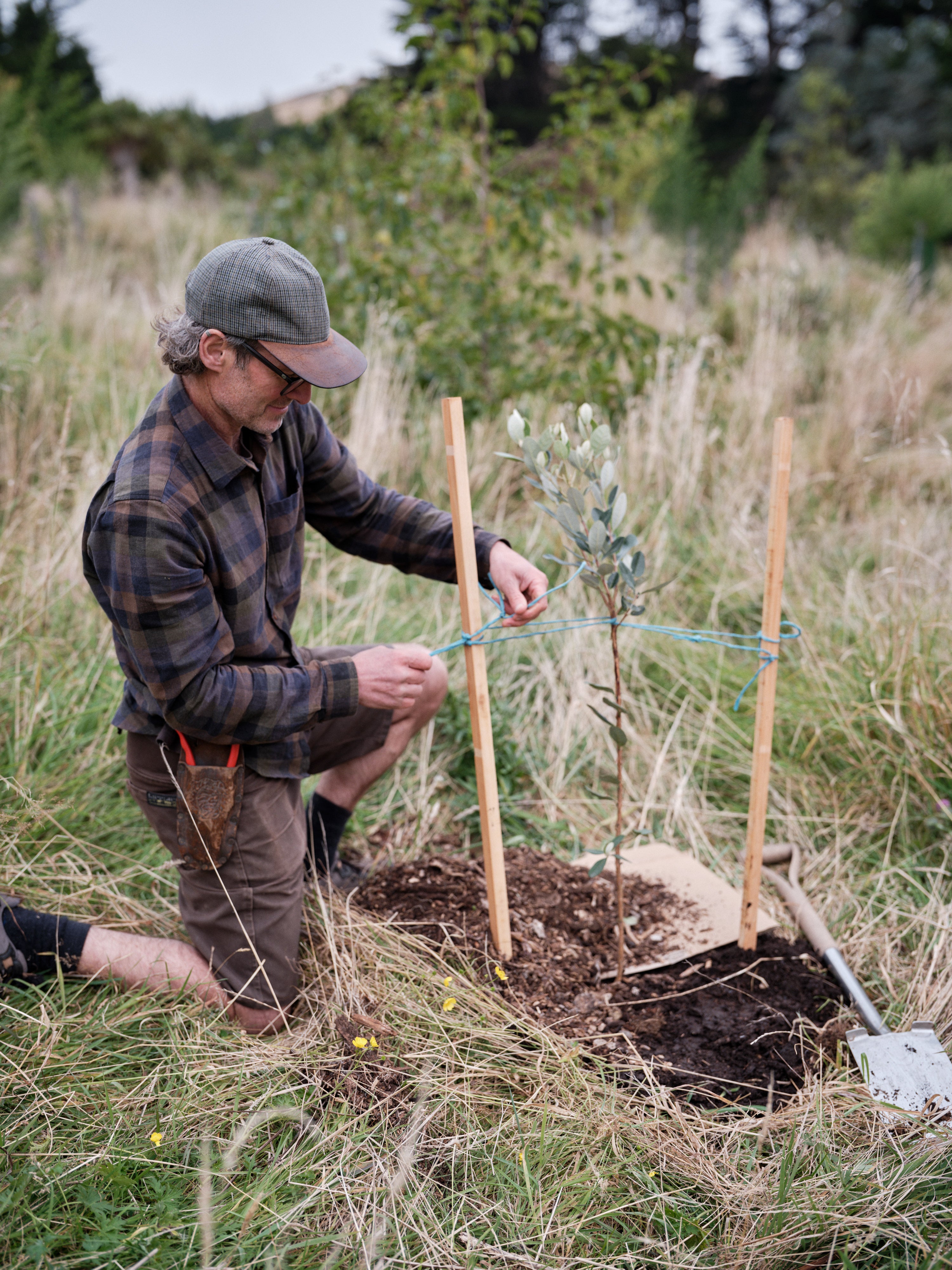 Homegrown Fruit - a practical guide | BOOK SIGNING EVENT 1-3pm