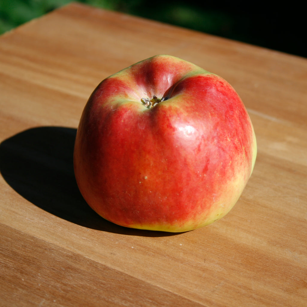 A large red Monty's Surprise apple on a wooden surface