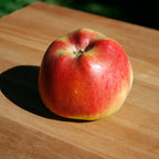 A large red Monty's Surprise apple on a wooden surface