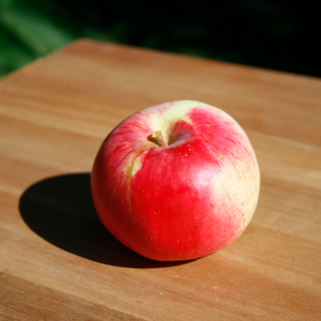 A large red Monty's Surprise apple on a wooden surface