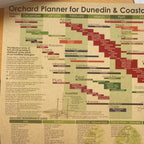 Habitate Orchard Planner for Coastal Otago & Southland | Wall Planner