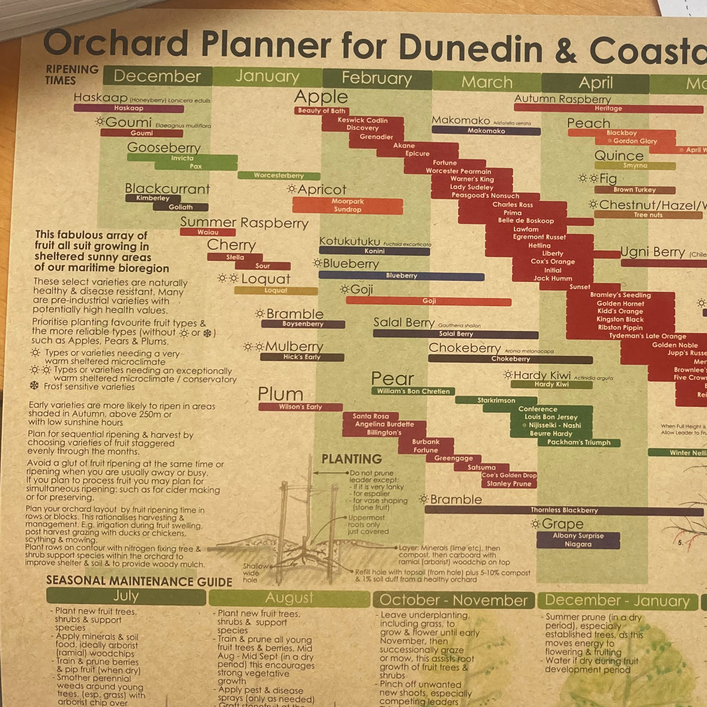 Habitate Orchard Planner for Coastal Otago & Southland | Wall Planner