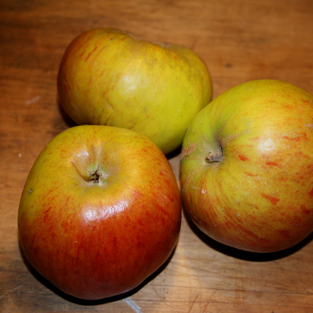 three Ribston Pippin apples on a table