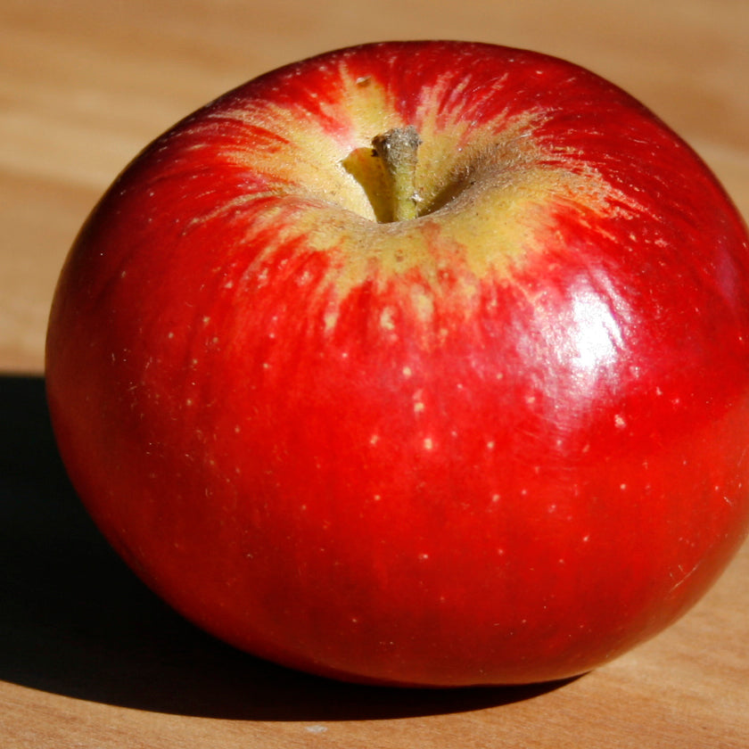Red Akane apple on a wooden surface