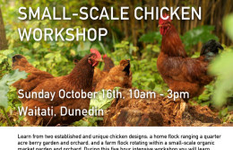 Permaculture Chicken Workshop