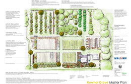 Kowhai Grove Masterplan