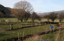 planting watering training