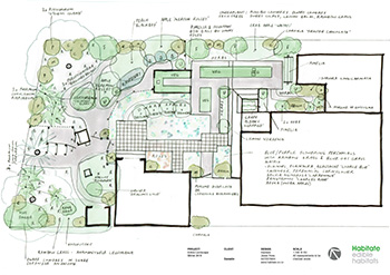 Edible & Native Landscape Plan