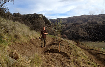 Diverse Home Orchard Swales Central Otago
