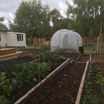 Vege Beds, Polytunnel, Orchard, Chickens 2018