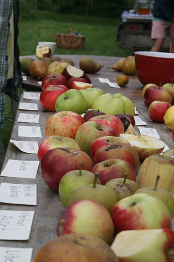 Heritage Fruit Tasting at our Catalogue Release